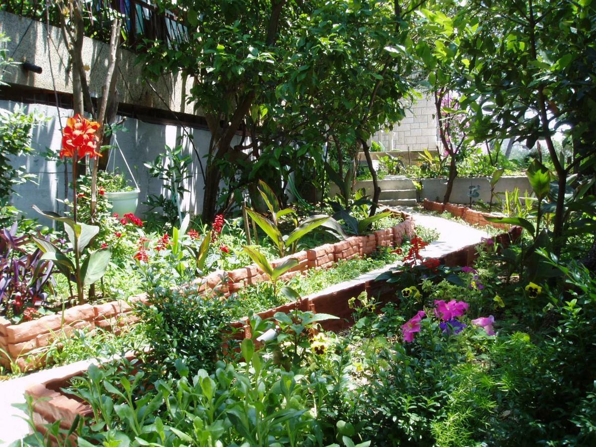 Apartment Libertas